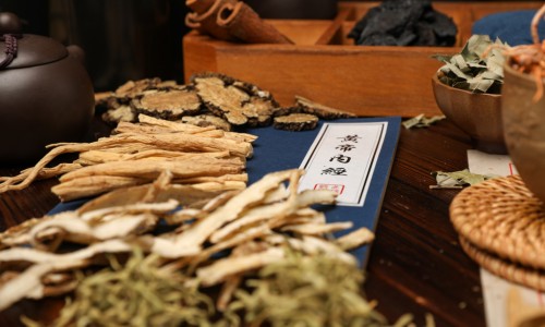 中药进出口贸易指南最新版-中药进出口贸易指南网- 中药材出口国一览表知识,分享中药材出口贸易